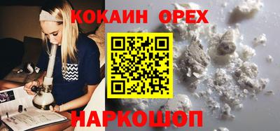 гашик Тара