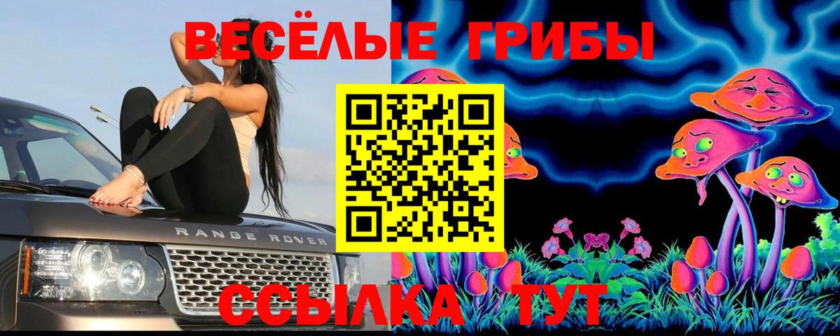 Галлюциногенные грибы MAGIC MUSHROOMS Моздок